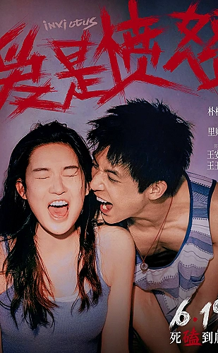 片单观察员
