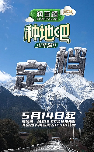 春日回声